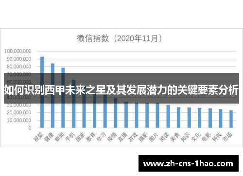 如何识别西甲未来之星及其发展潜力的关键要素分析
