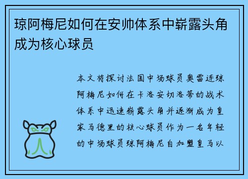 琼阿梅尼如何在安帅体系中崭露头角成为核心球员