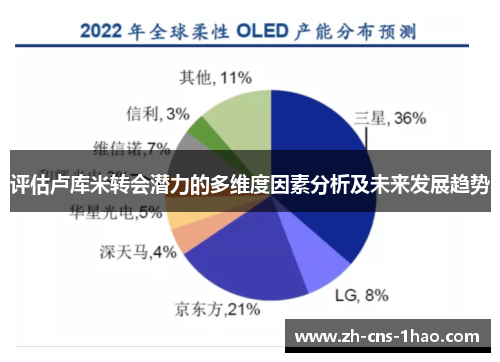 评估卢库米转会潜力的多维度因素分析及未来发展趋势