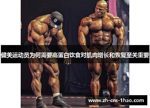 健美运动员为何需要高蛋白饮食对肌肉增长和恢复至关重要