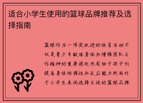适合小学生使用的篮球品牌推荐及选择指南