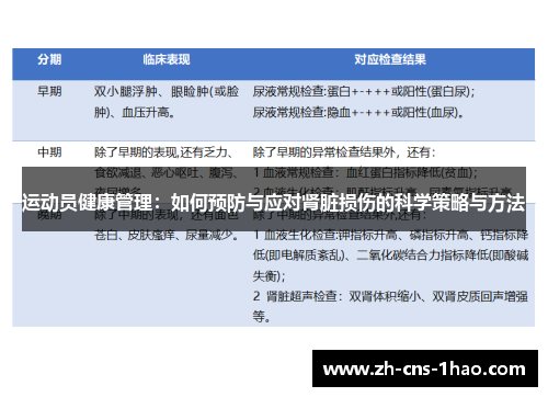 运动员健康管理：如何预防与应对肾脏损伤的科学策略与方法
