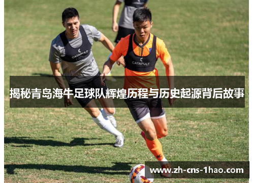 揭秘青岛海牛足球队辉煌历程与历史起源背后故事