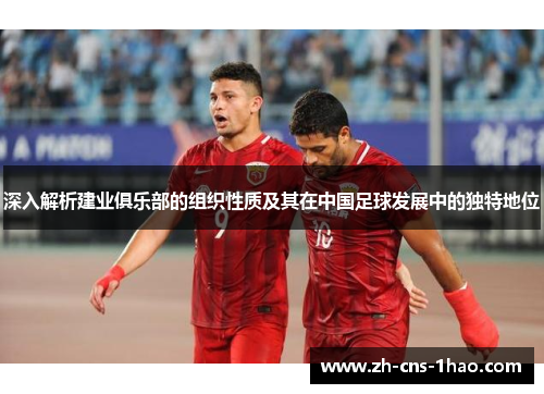 深入解析建业俱乐部的组织性质及其在中国足球发展中的独特地位