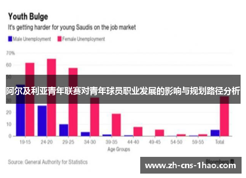 阿尔及利亚青年联赛对青年球员职业发展的影响与规划路径分析